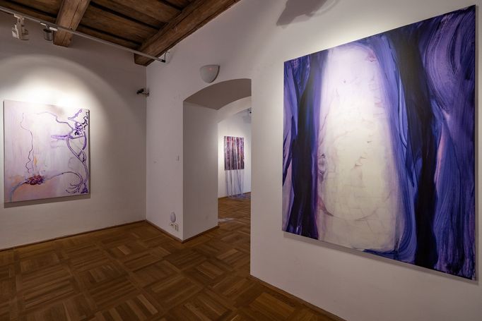 Snímek z výstavy děl Pavla Příkaského.