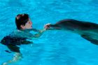 Delfín bez ocasu porazil v kinech rakovinu i Bonda