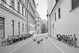 Metaři chodníků, Brno