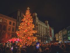 Hlavní brněnské náměstí Svobody při odhalení letošního vánočního stromku