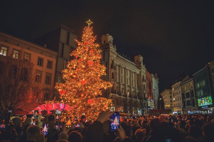 Hlavní brněnské náměstí Svobody při odhalení letošního vánočního stromku