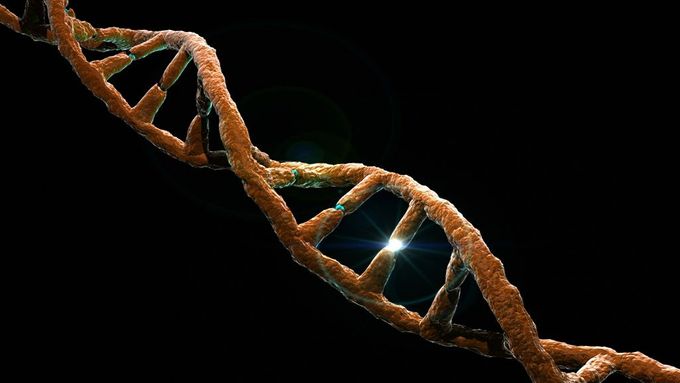 DNA. Ilustrační obrázek