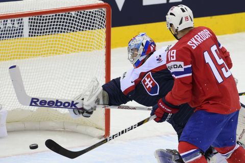 MS 2014, Slovensko - Norsko