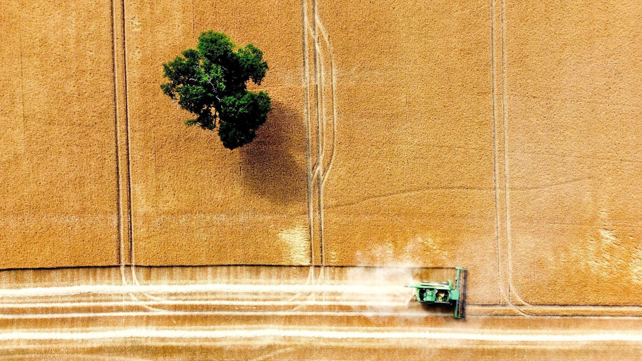 Evropa, sucho, vedro, léto, rekord