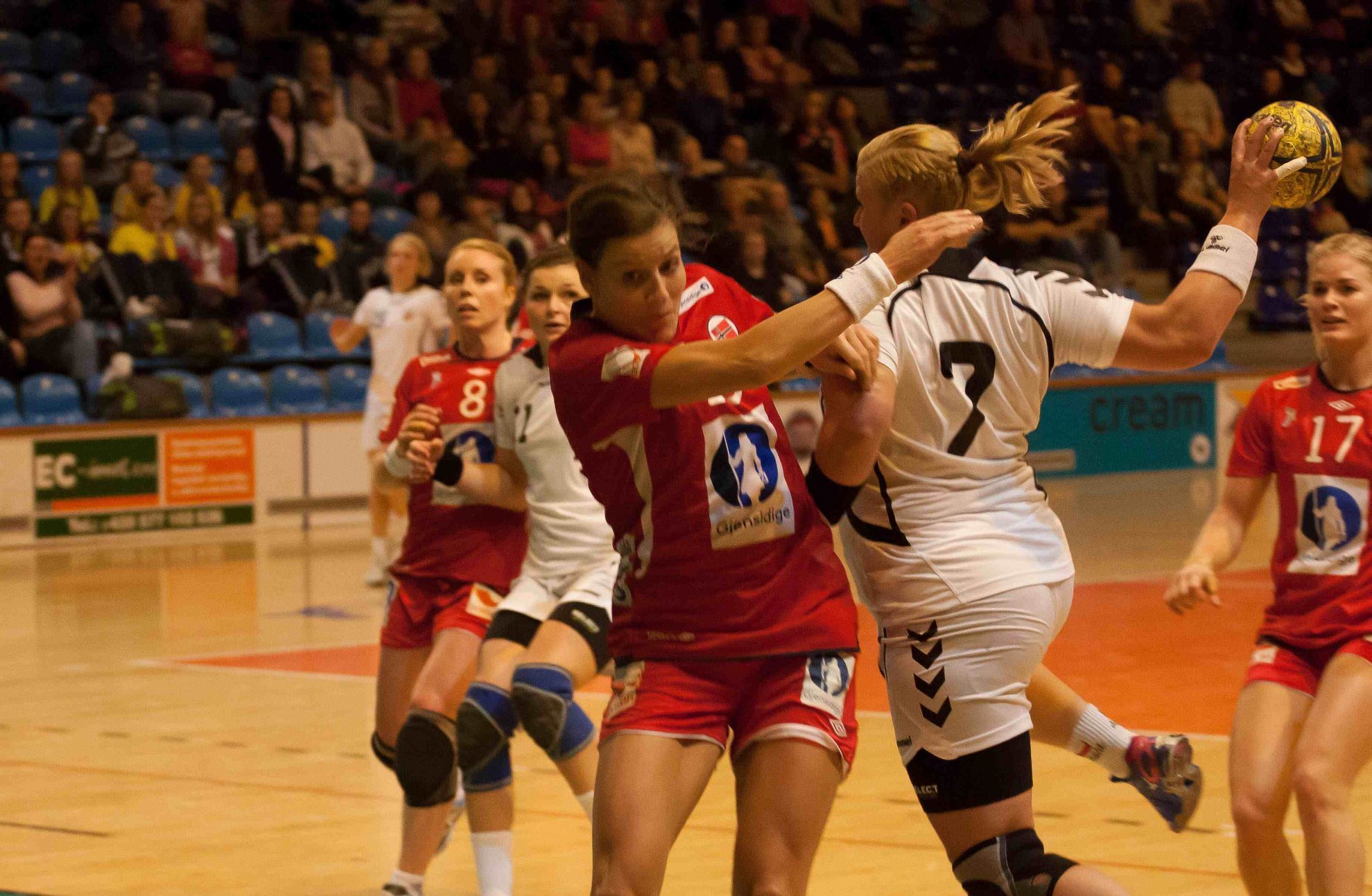 Házená: Česko - Norsko