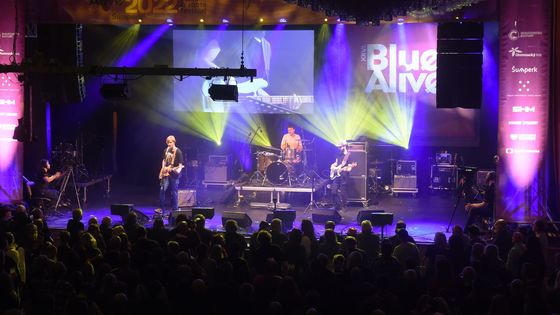 Blues Alive 2022, festival