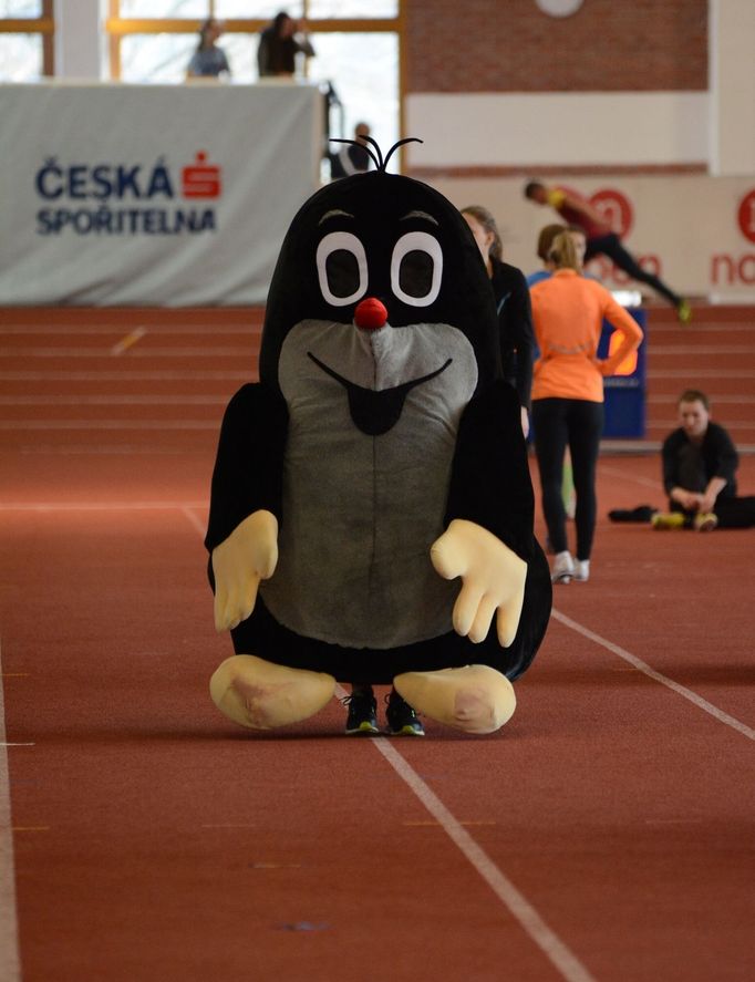 MČR v hale: maskot Krteček