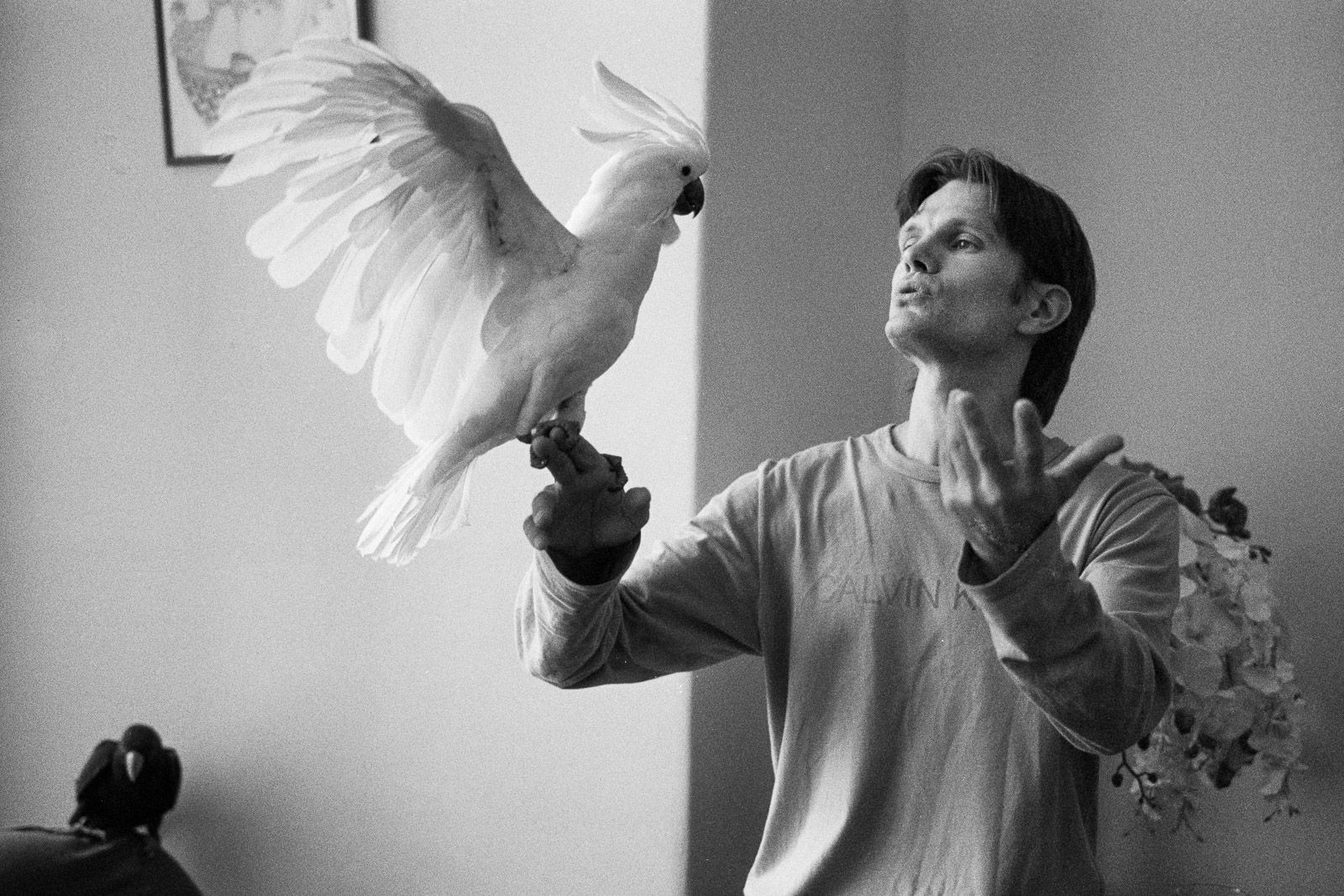 Dan Šperl - Všednosti (ukázky ze stejnojmenné výstavy fotografií)