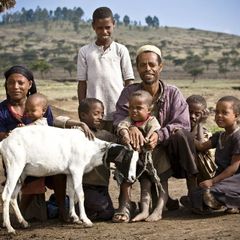 Skutečný dárek - Etiopie (Člověk v tísni)