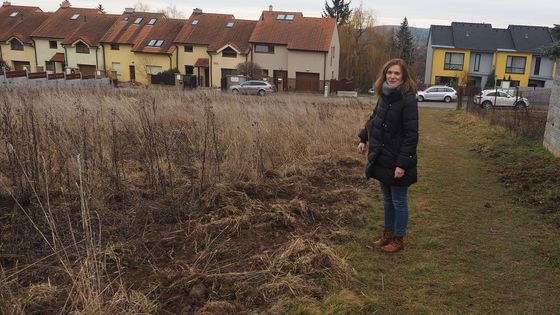 Radní Šárka Slavíková Klímová ukazuje další z mnoha míst, kde se divočáci často vyskytují - naproti řadovým domkům.