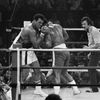 Muhammad Ali, box, Joe Frazier