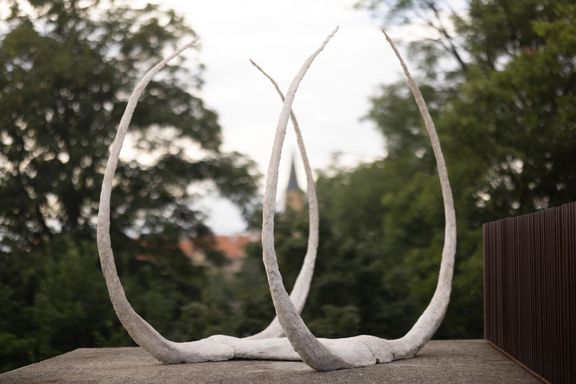 Sára Skoczková, Brána | Gate, 2022, železná konstrukce, kašírovaný bílý beton | iron framework, layered white concrete