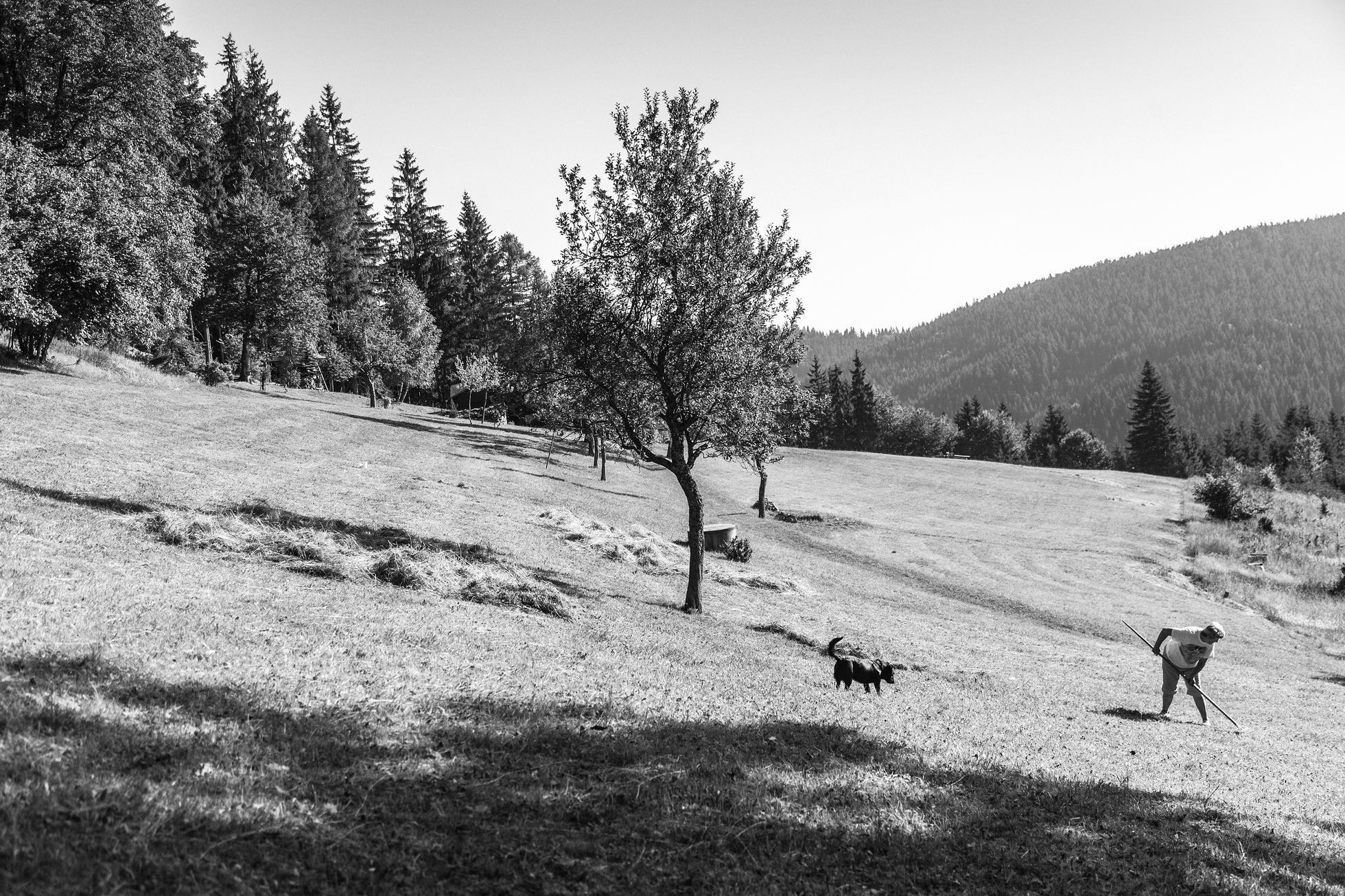 Aleš Palán, Samotáři 2