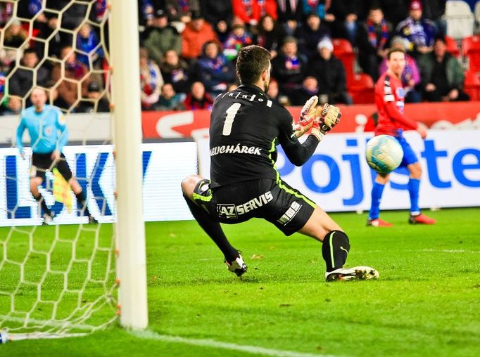 Viktoria Plzeň vs. Brno, fotbalová liga (Melichárek)