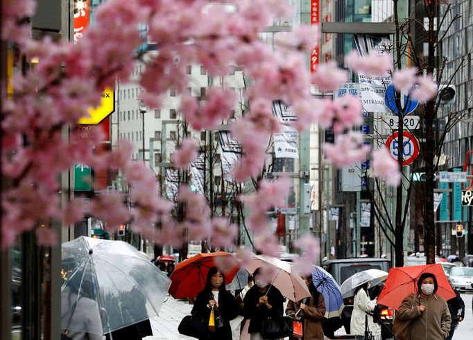 FILE PHOTO: Pedestrians wearing protective face masks, amid the coronavirus disease (COVID-19) pandemic, are seen behind artificial cherry blossom decorations at a shoppi