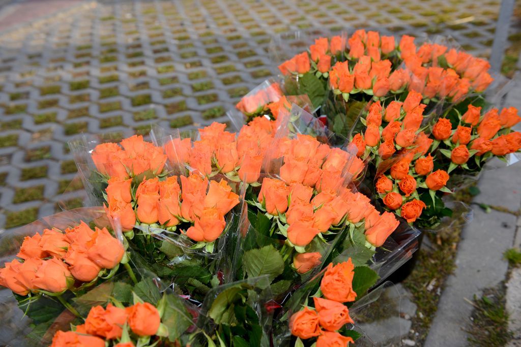 oranzova zare nad kladnem