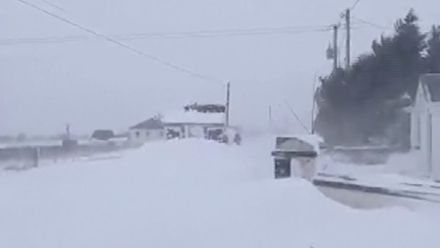 Sněhová bouře sužuje Irsko. Přívaly sněhu ochromily dopravu a zavály obchody