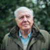 dvtv david attenborough
