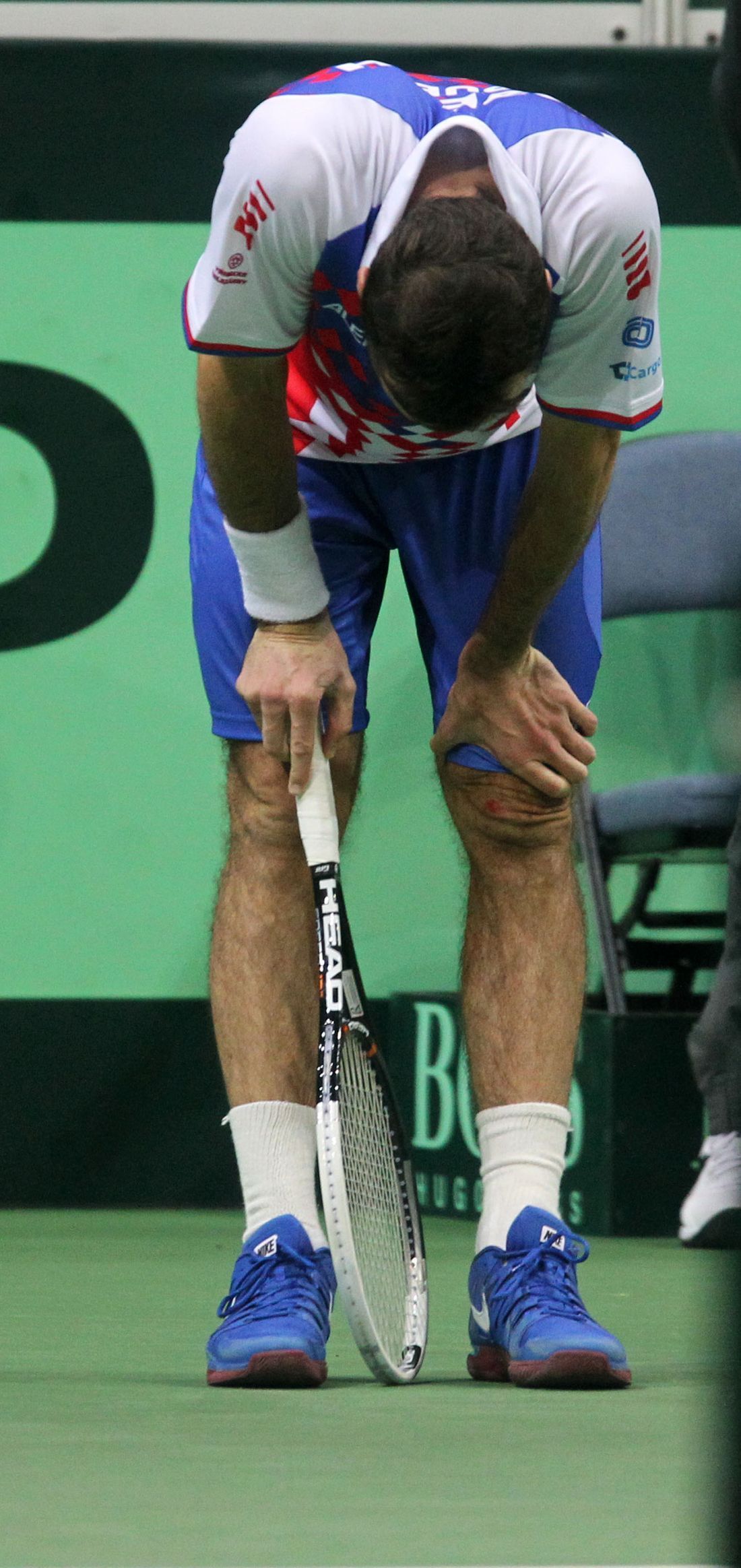 Finále Davis Cupu, zápas Radka Štěpánka s Davidem Ferrerem