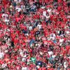 Bundesliga, Bayern Mnichov - 1. FC Norimberk (fanoušci)