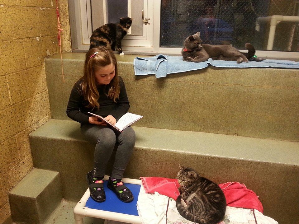 Děti čtou kočkám