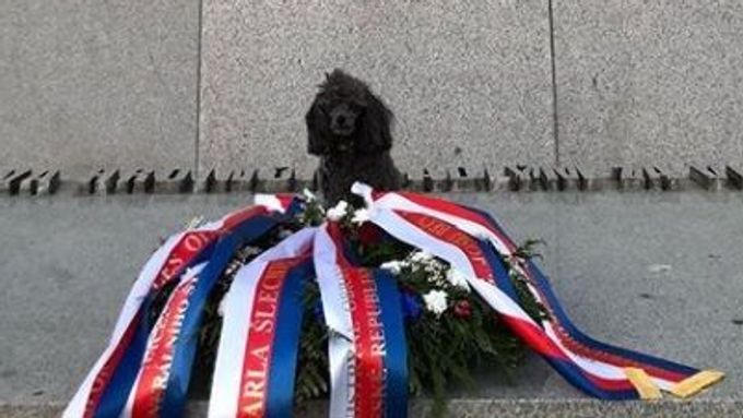 Pes Karly Šlechtové na hrobu neznámého vojína u vítkovského památníku.