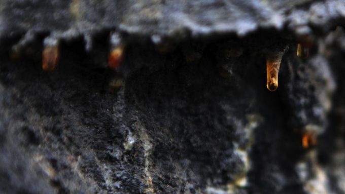 Detailní snímek haldy z polských Katovic. Z materiálu zapáchajícího ropou prosakují kapky mazlavé kapaliny. Místní firma DJS-Center uvedla, že tisíce tun této hmoty prodala výrobcům briket.