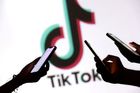 Český TikTok před volbami: Společnost zablokovala manipulující účty