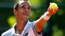 Lukáš Rosol ve druhém kole French Open 2015