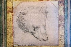 Kresba medvěda od Leonarda da Vinciho byla vydražena za čtvrt miliardy korun