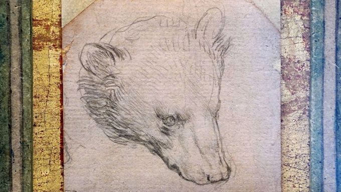 Da Vinciho kresba medvědí hlavy olůvkem na papíře je velká jen sedm krát sedm centimetrů.