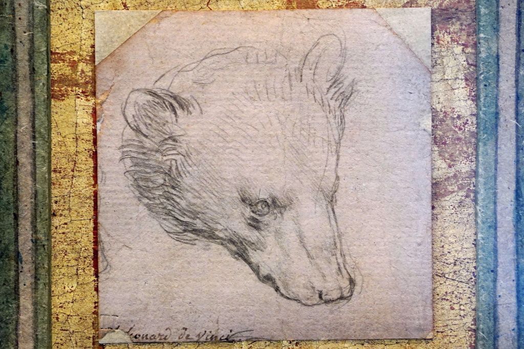 Leonardo da Vinci medvěd