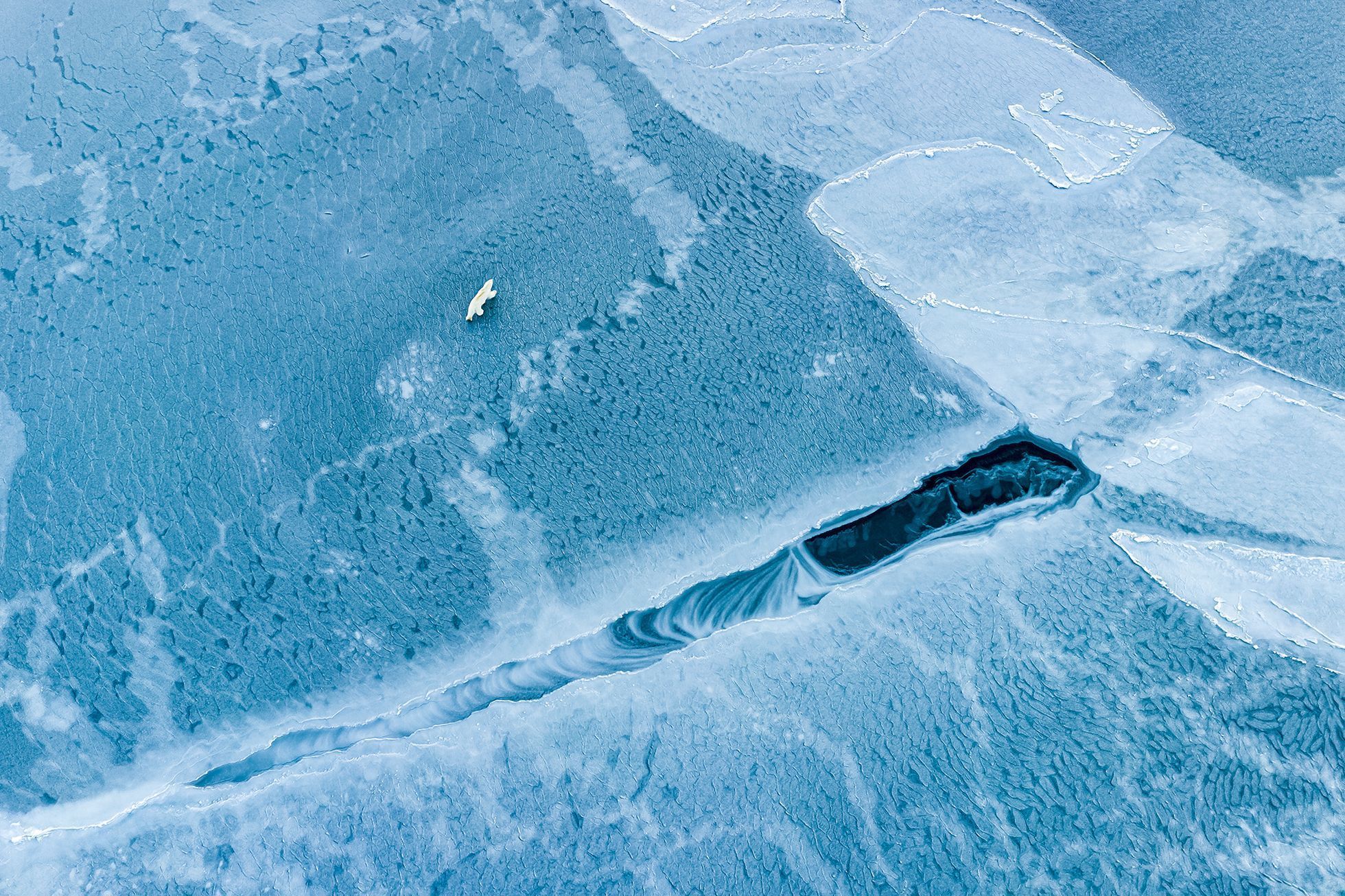 Vítězné snímky ze soutěže Environmental Photography Award 2024