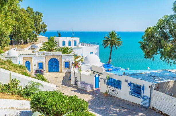 Městečko Sidi Bou Said je pověstné svými modrobílými domky. Je oblíbeným místem filmařů, točily se tu například scény z filmu Angelika a sultán.