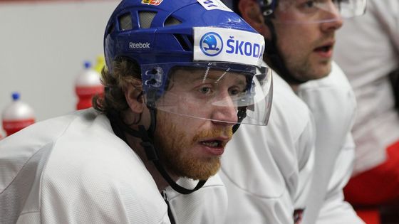 Prohlédněte si fotografie z tréninku české hokejové reprezentace, které chybí už jen deset dní do začátku světového šampionátu v Praze a Ostravě.