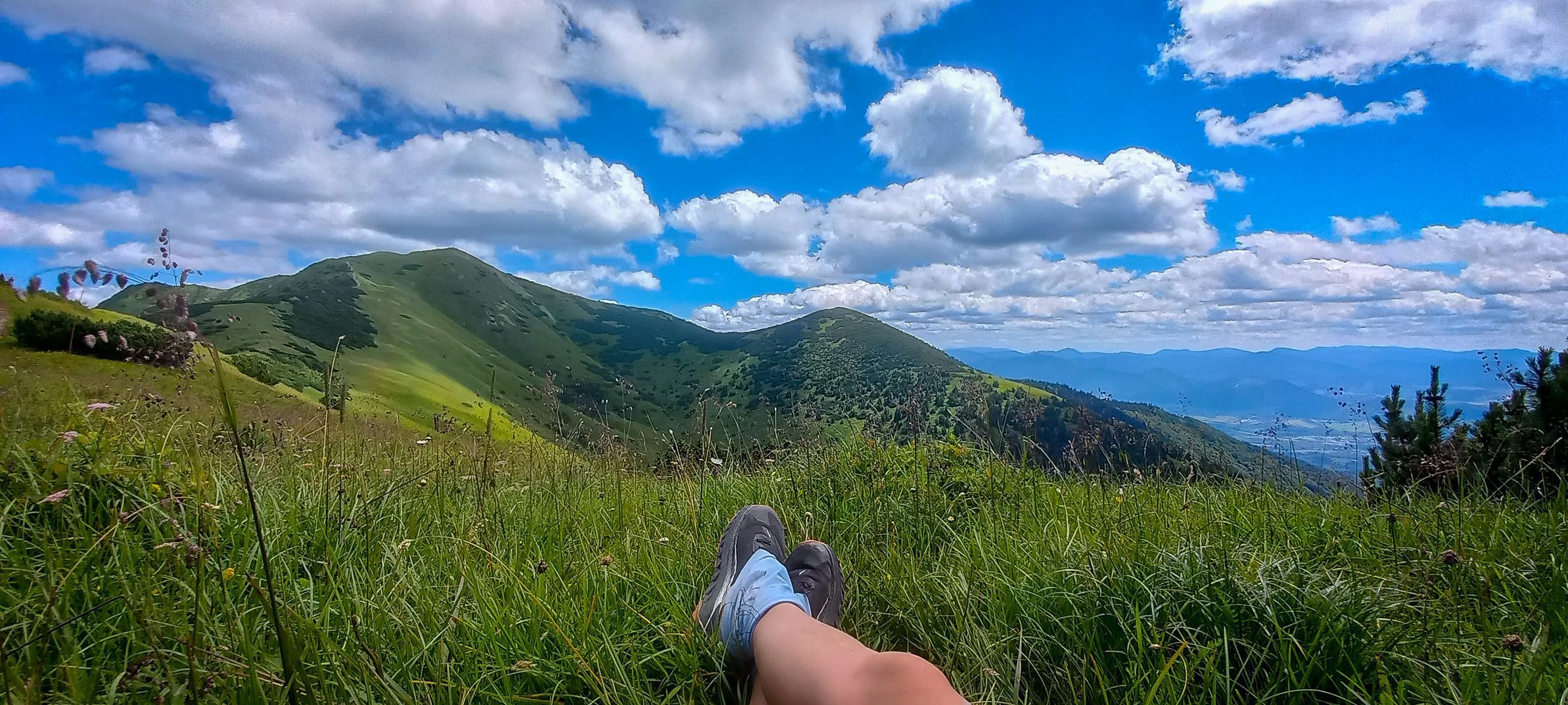 Archiv Jany Doktorové