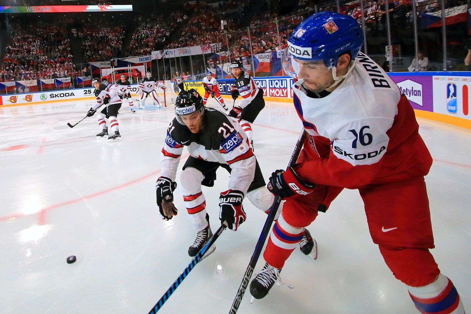 MS 2017, Česko-Kanada: Michal Birner - Brayden Point