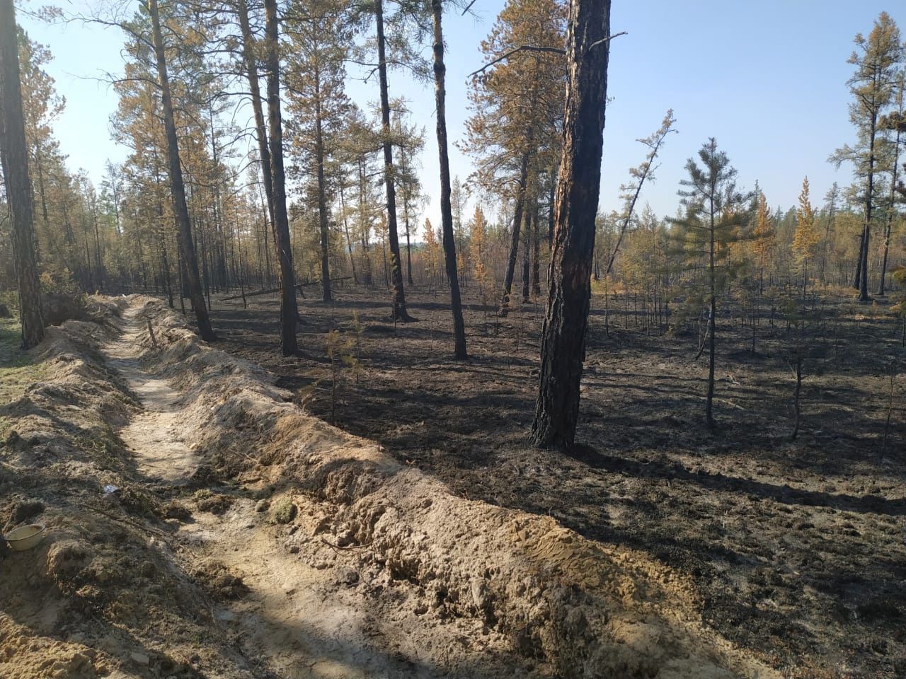 Lesní požáry na Sibiři