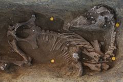 Vzácné mince i kostra koně. Archeologové našli u Pálavy hroby langobardské elity