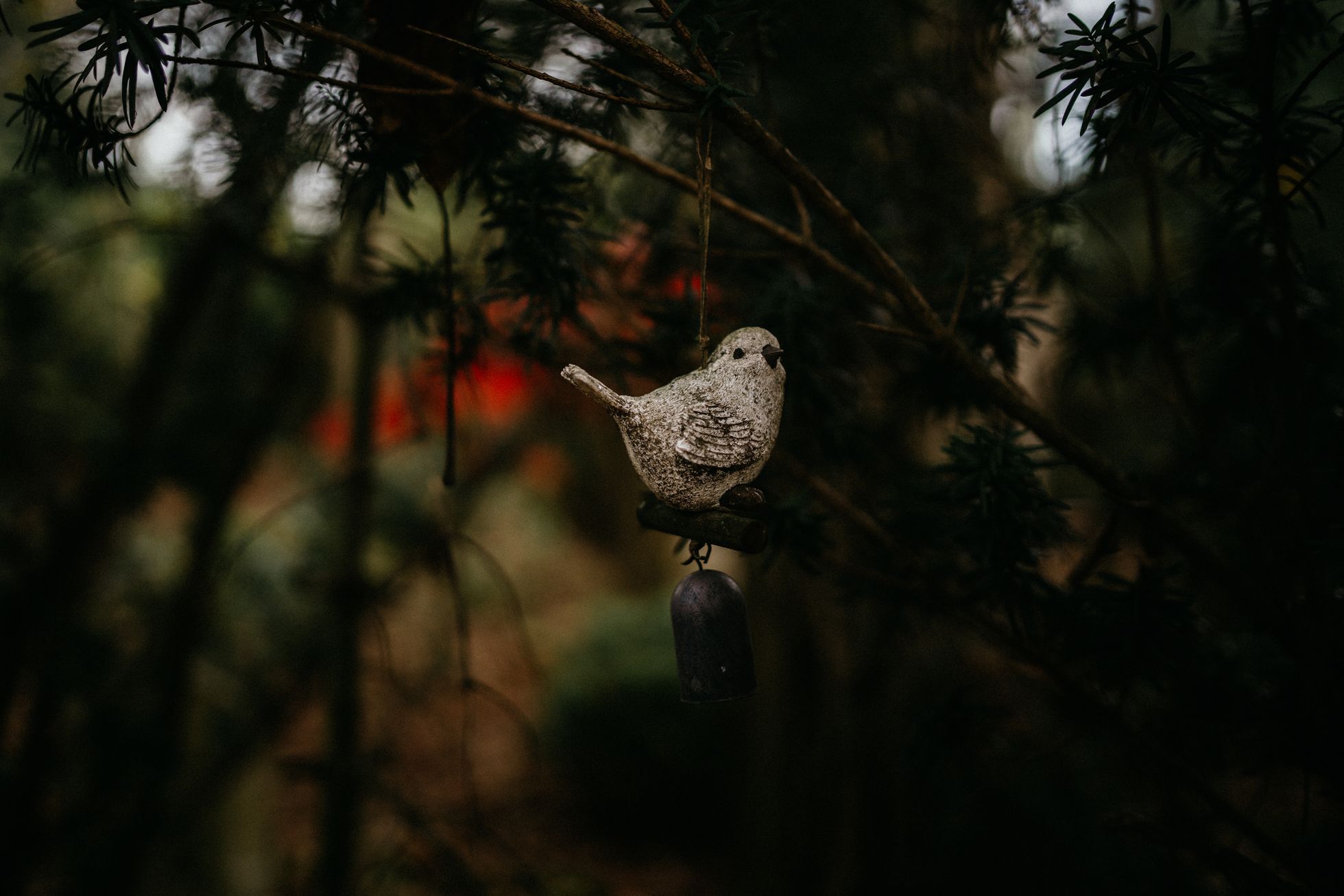 hřbitov Bohnice hřbitov bláznů