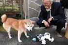 Japonci pohřbívají i robotické psy. Věří, že mají duši