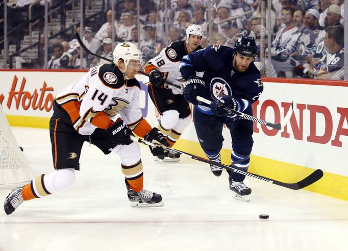 NHL, Anaheim - Winnipeg: Adam Pardy (2) - Tomáš Fleischmann (14)