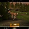 Deer Drive