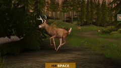 Deer Drive