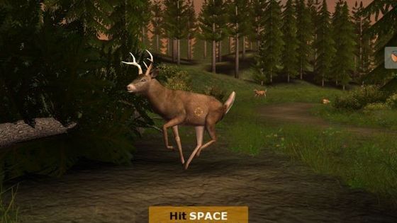 Deer Drive