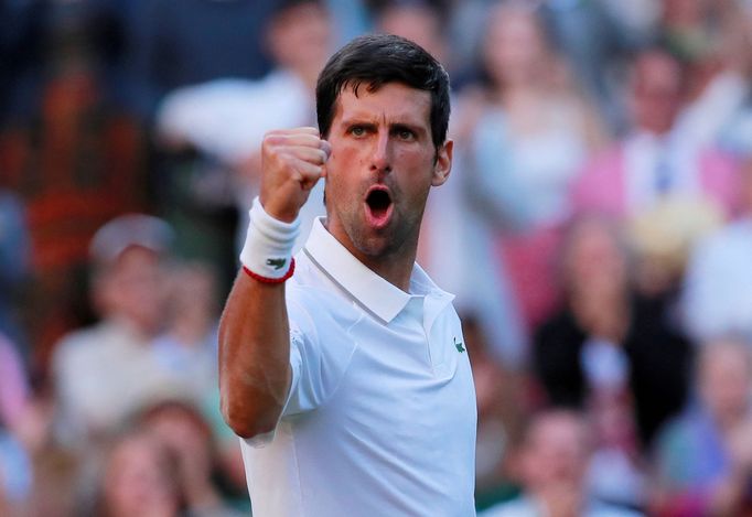 Tennis - Wimbledon - All England Lawn Tennis and Croquet Club, London, Britain - July 3, 2019  Serbia's Novak Djokovic celebrates winning his second round match against D