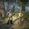 Fable 2