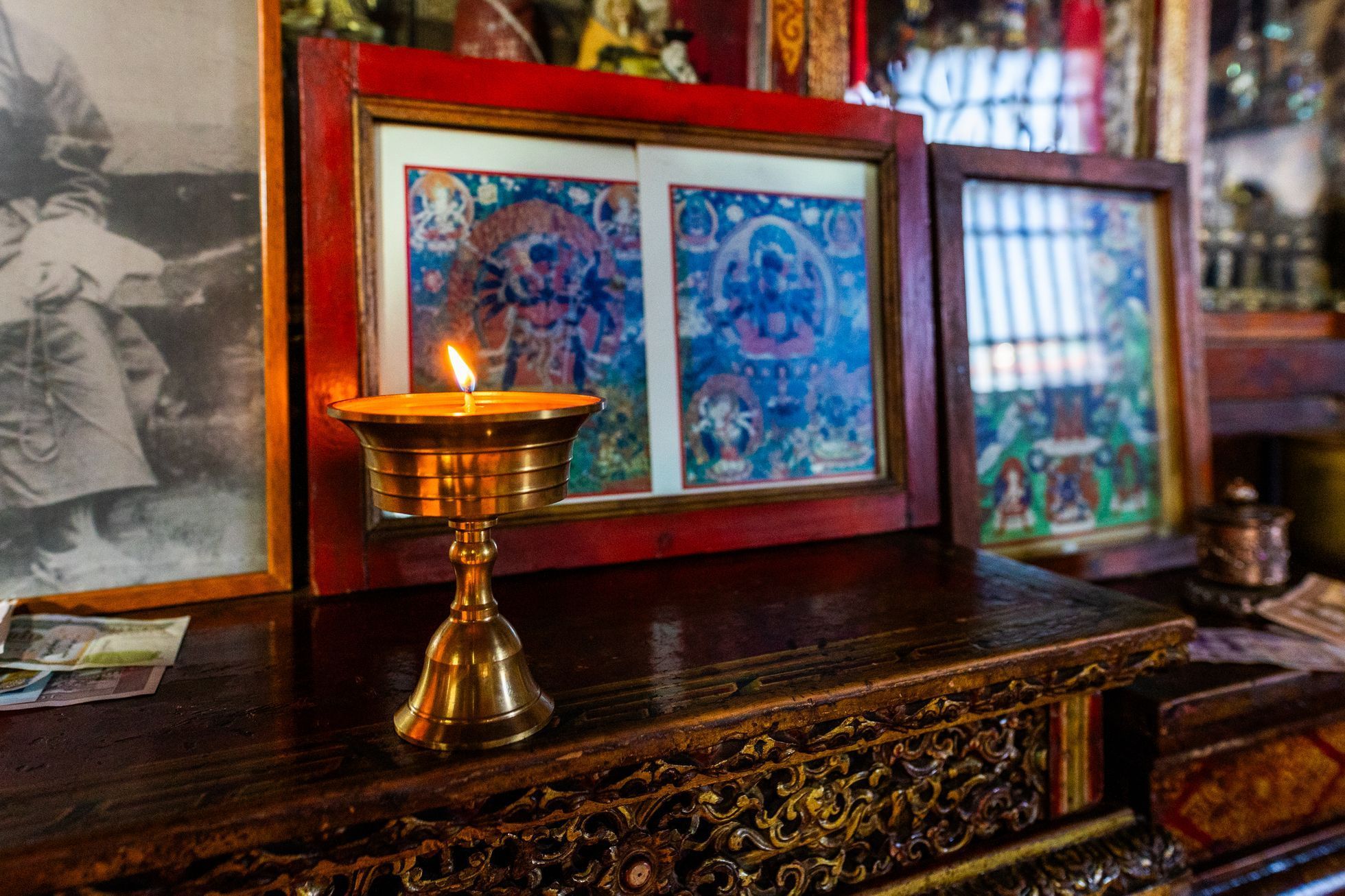 Žlutá žába Dan Přibáň