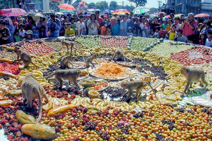 Opice hodují na ovocném bufetu během každoročního festivalu v thajském Lopburi, 28. listopadu 1999.