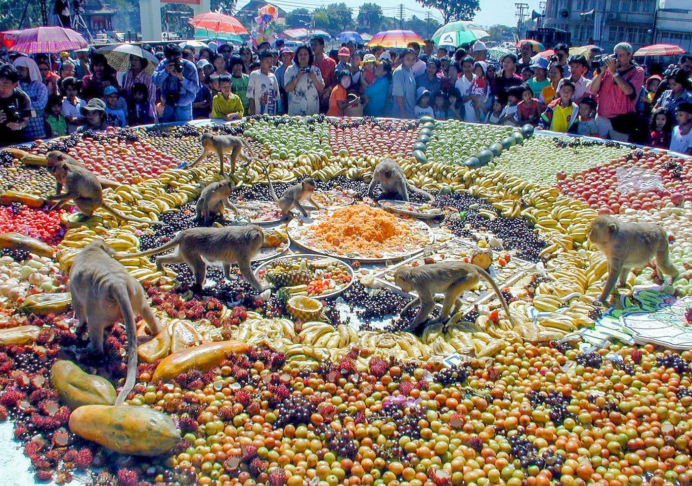 Monkey Buffet Festival, Thajsko, Kuriózní rituály v různých kulturách ve světě , Magazín, kuriozity